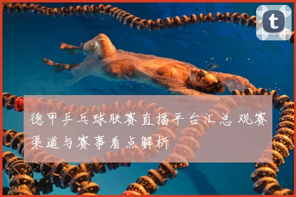 德甲乒乓球联赛直播平台汇总 观赛渠道与赛事看点解析