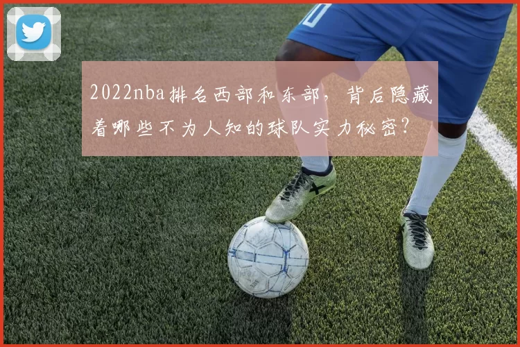 2022nba排名西部和东部,背后隐藏着哪些不为人知的球队实力秘密?