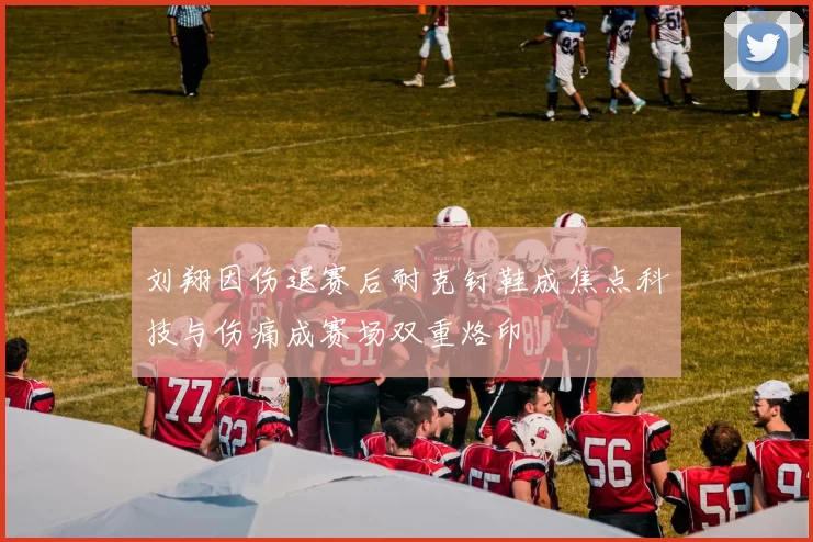 刘翔因伤退赛后耐克钉鞋成焦点科技与伤痛成赛场双重烙印