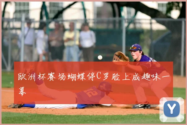 欧洲杯赛场蝴蝶停C罗脸上成趣味一幕