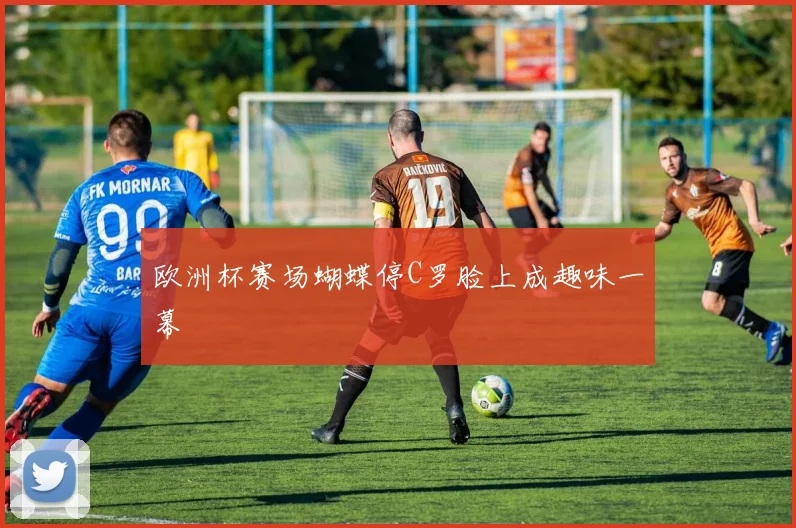 欧洲杯赛场蝴蝶停C罗脸上成趣味一幕