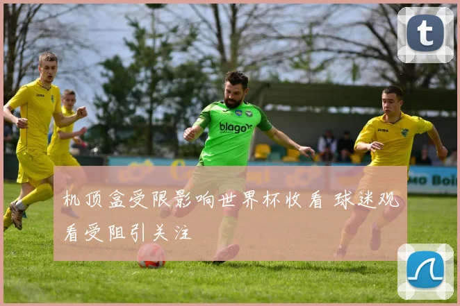 机顶盒受限影响世界杯收看 球迷观看受阻引关注