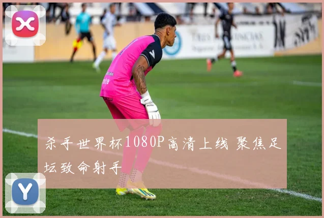 杀手世界杯1080P高清上线 聚焦足坛致命射手